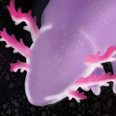 Mods pfps here